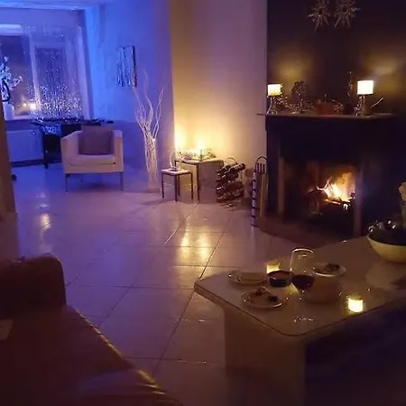 Luxery House Close To Amsterdam